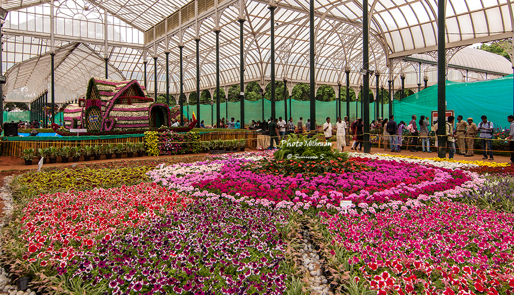 Lalbagh Flower Show, 2013 PhotoMithra